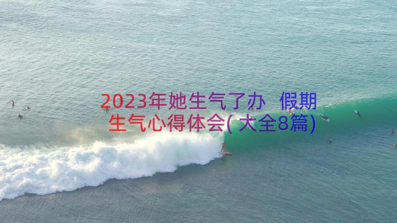 2023年她生气了办 假期生气心得体会(大全8篇)