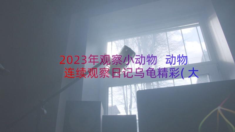 2023年观察小动物 动物连续观察日记乌龟精彩(大全6篇)