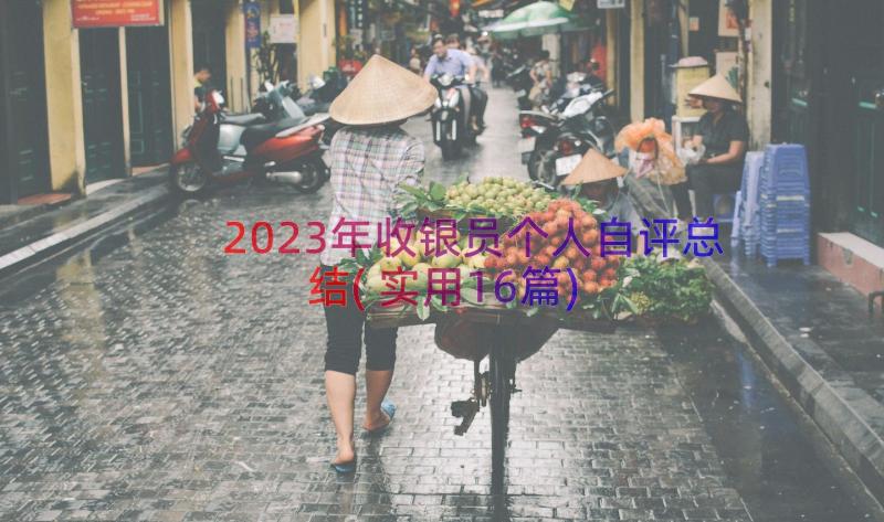 2023年收银员个人自评总结(实用16篇)