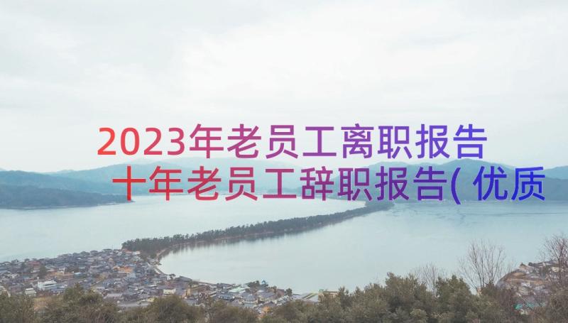 2023年老员工离职报告 十年老员工辞职报告(优质8篇)