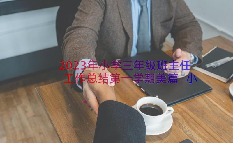 2023年小学三年级班主任工作总结第一学期美篇 小学三年级班主任工作总结(实用13篇)