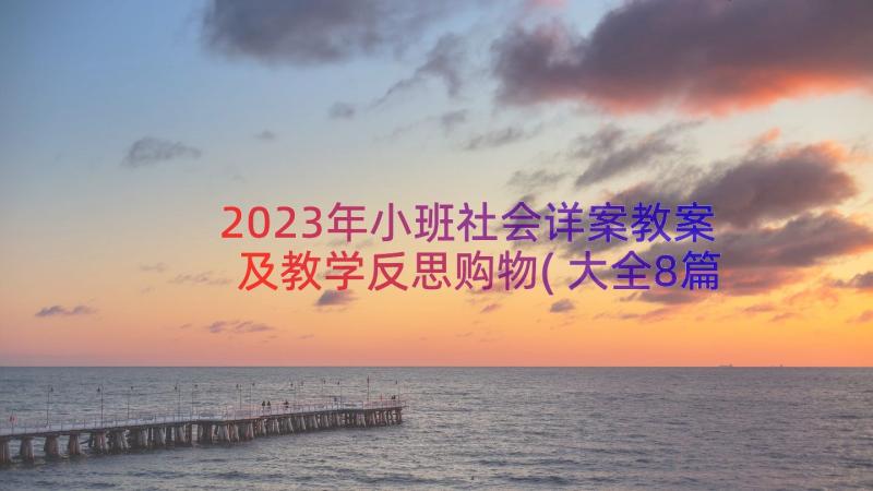 2023年小班社会详案教案及教学反思购物(大全8篇)