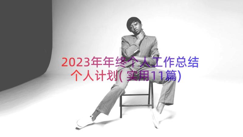 2023年年终个人工作总结个人计划(实用11篇)