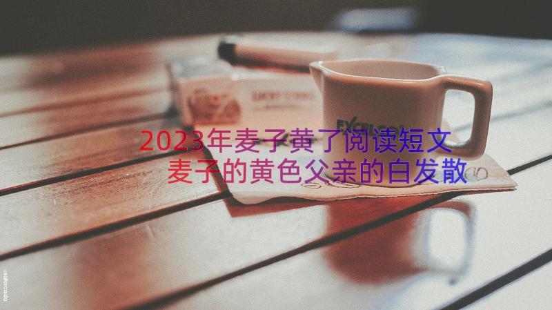 2023年麦子黄了阅读短文 麦子的黄色父亲的白发散文(精选8篇)