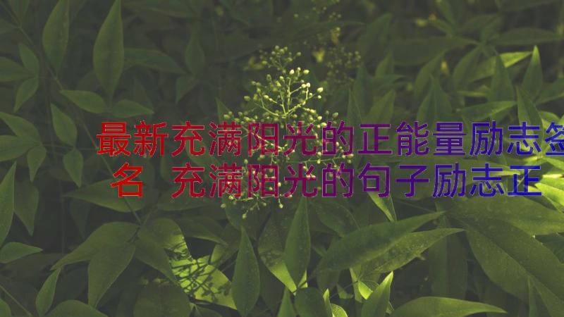 最新充满阳光的正能量励志签名 充满阳光的句子励志正能量(汇总9篇)