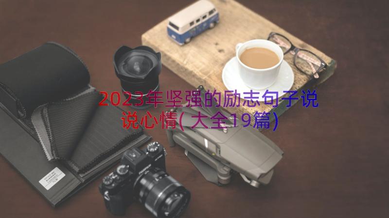 2023年坚强的励志句子说说心情(大全19篇)