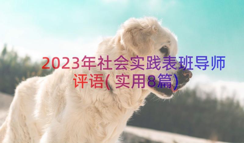 2023年社会实践表班导师评语(实用8篇)