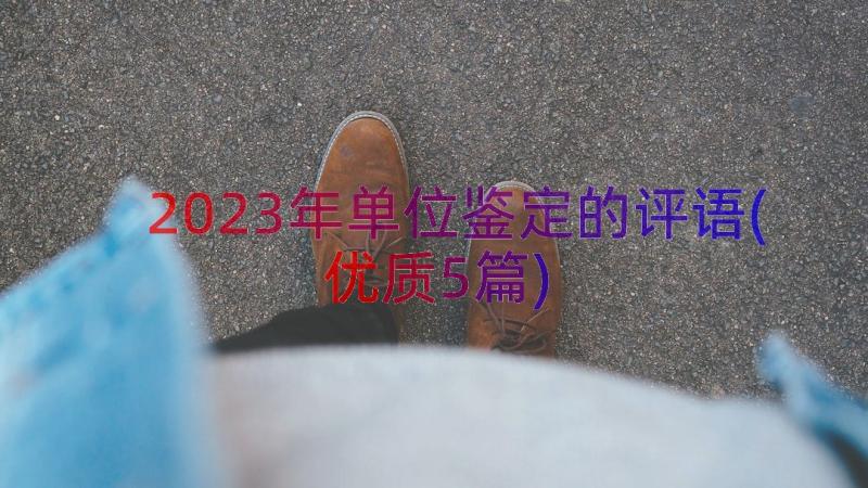 2023年单位鉴定的评语(优质5篇)