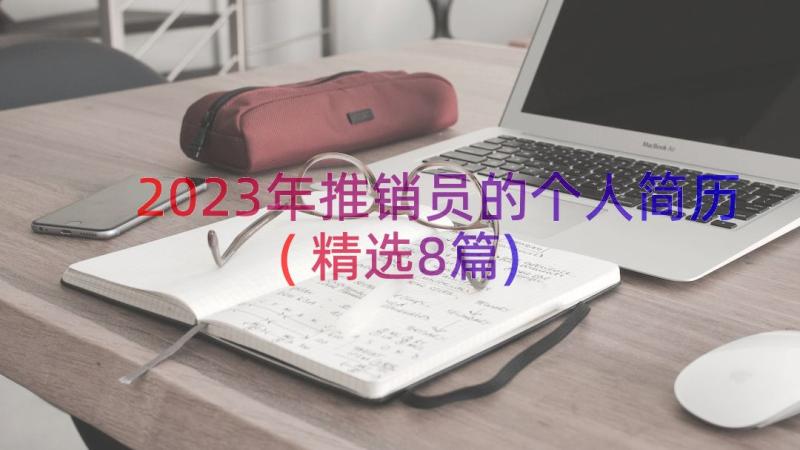 2023年推销员的个人简历(精选8篇)