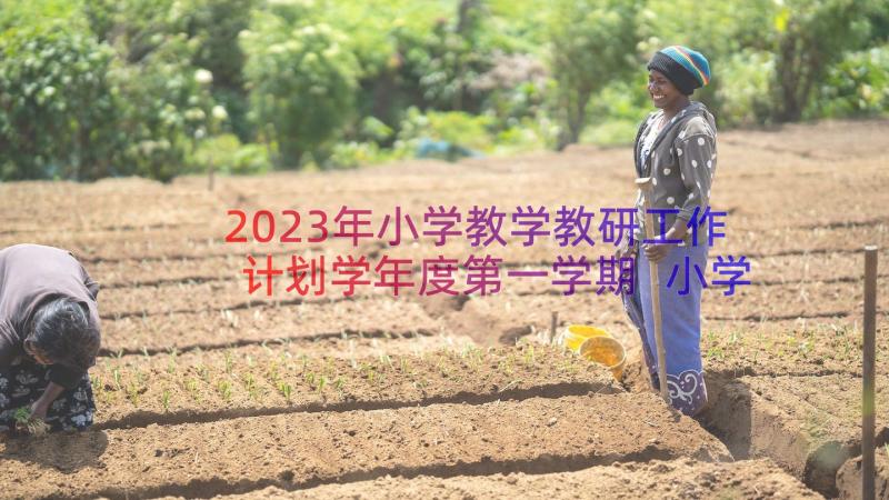 2023年小学教学教研工作计划学年度第一学期 小学语文教研组工作总结第一学期(优秀9篇)