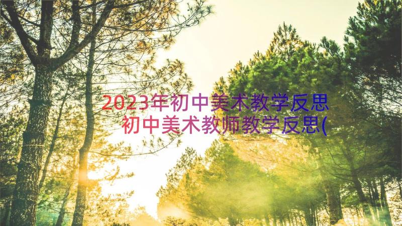 2023年初中美术教学反思 初中美术教师教学反思(精选17篇)