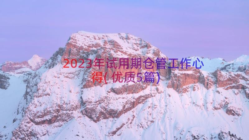 2023年试用期仓管工作心得(优质5篇)