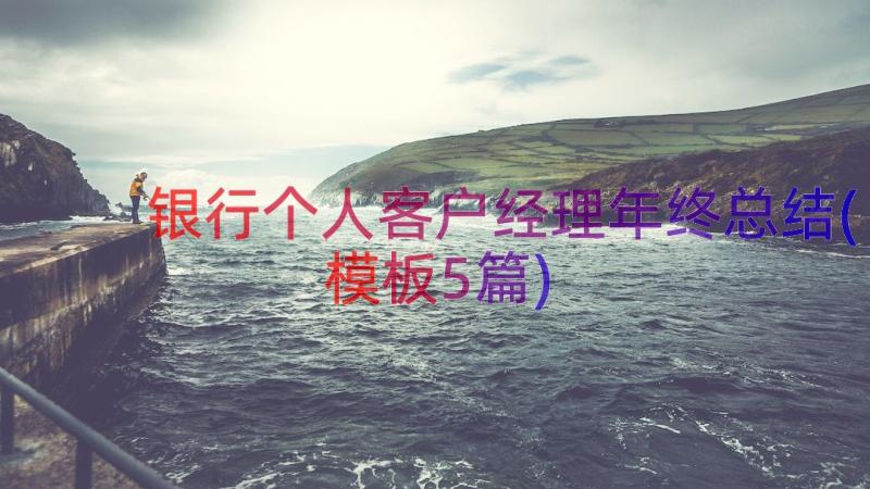 银行个人客户经理年终总结(模板5篇)