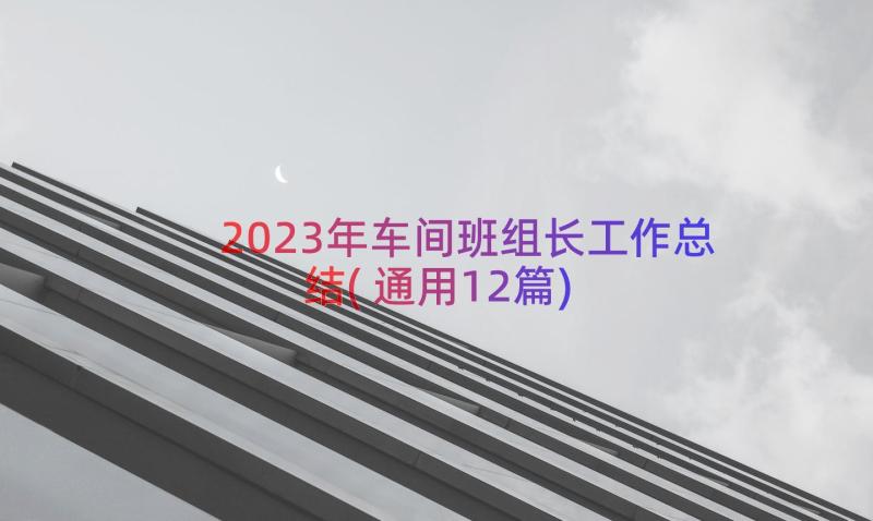 2023年车间班组长工作总结(通用12篇)