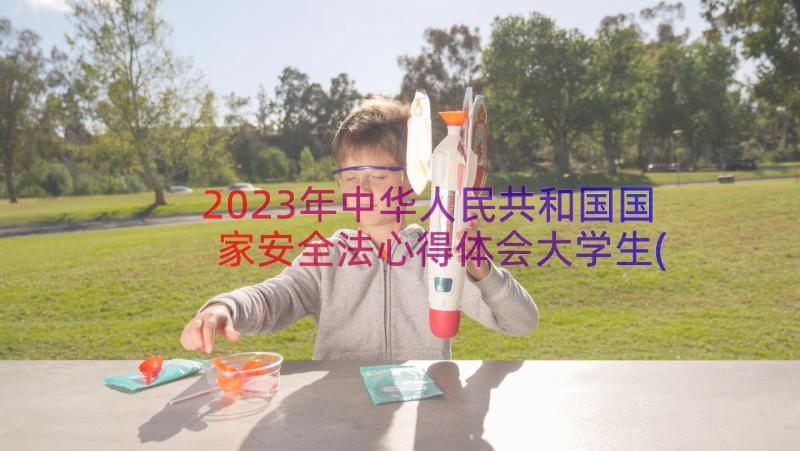 2023年中华人民共和国国家安全法心得体会大学生(大全8篇)