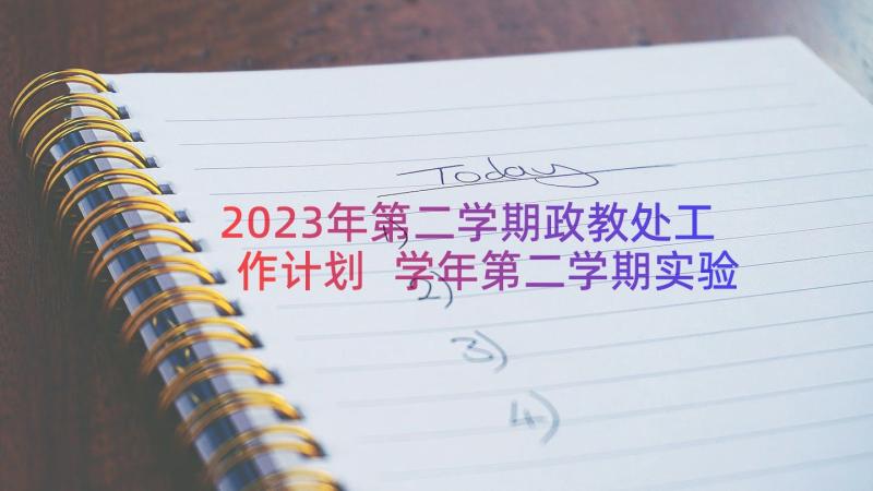 2023年第二学期政教处工作计划 学年第二学期实验室工作总结(汇总17篇)