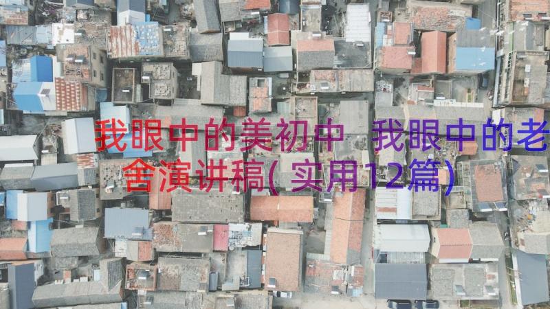 我眼中的美初中 我眼中的老舍演讲稿(实用12篇)