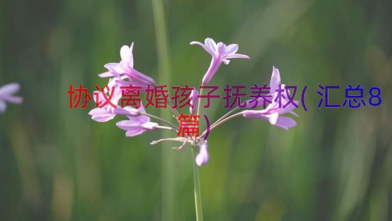 协议离婚孩子抚养权(汇总8篇)