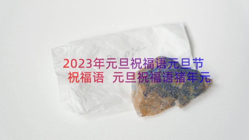 2023年元旦祝福语元旦节祝福语 元旦祝福语猪年元旦祝福语(优秀14篇)