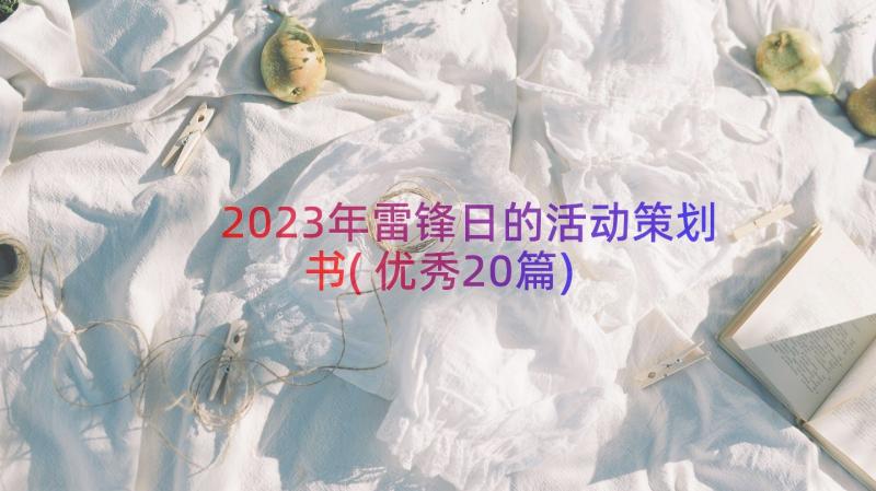 2023年雷锋日的活动策划书(优秀20篇)