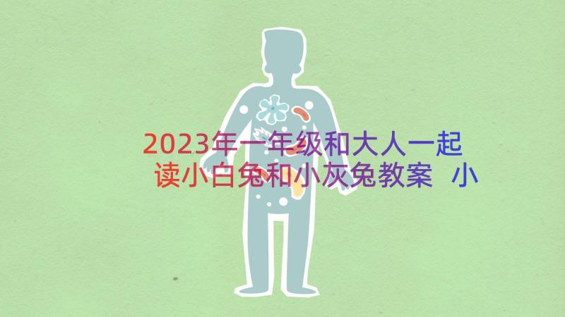 2023年一年级和大人一起读小白兔和小灰兔教案 小白兔和小灰兔一年级教案(大全18篇)