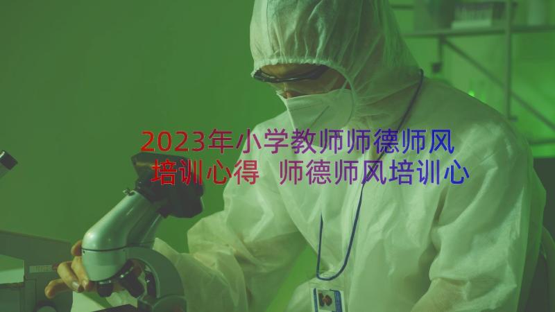 2023年小学教师师德师风培训心得 师德师风培训心得体会(实用17篇)