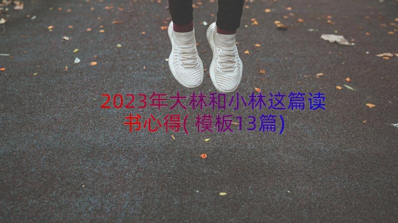 2023年大林和小林这篇读书心得(模板13篇)