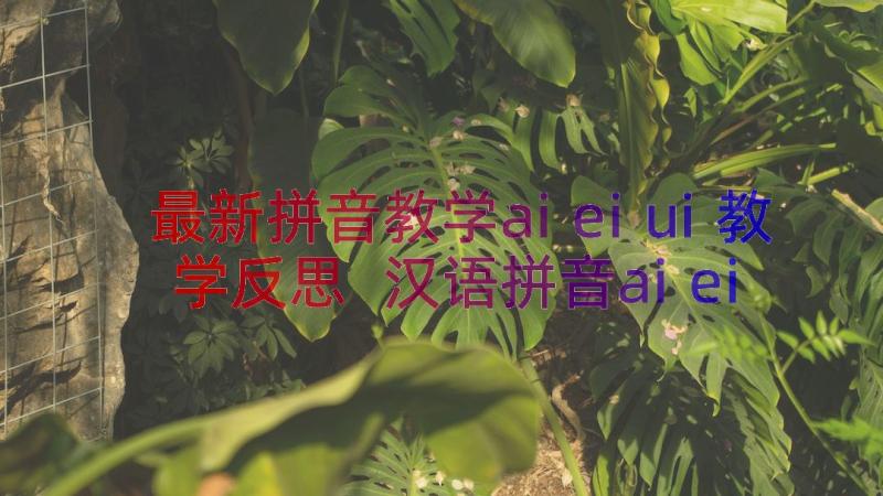 最新拼音教学aieiui教学反思 汉语拼音aieiui教学反思(优秀8篇)