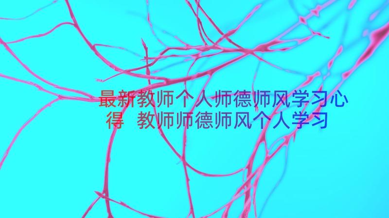 最新教师个人师德师风学习心得 教师师德师风个人学习计划(实用13篇)