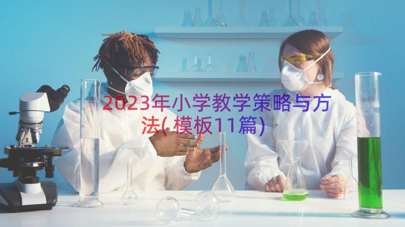 2023年小学教学策略与方法(模板11篇)