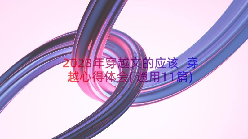 2023年穿越文的应该 穿越心得体会(通用11篇)