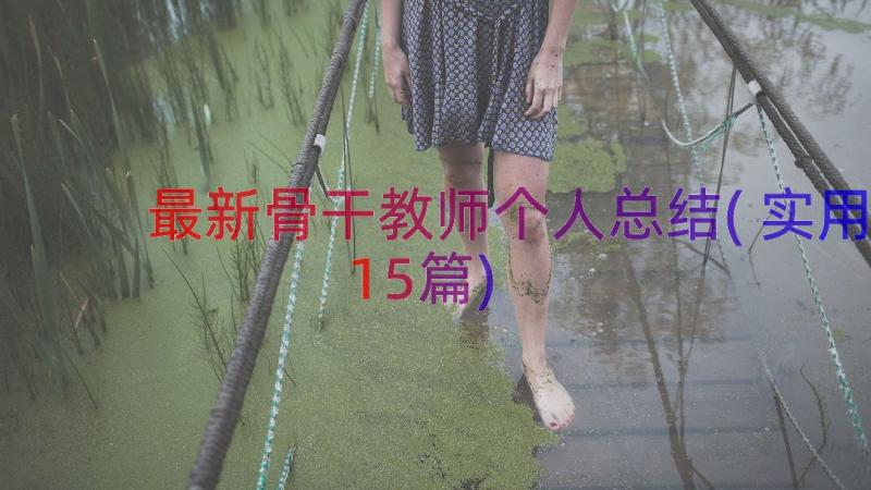 最新骨干教师个人总结(实用15篇)