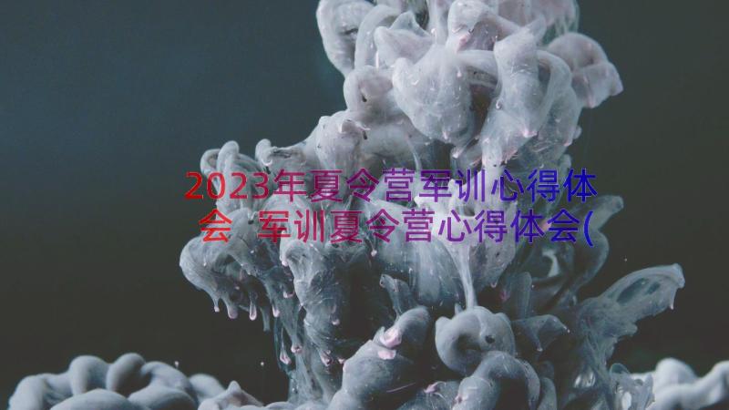 2023年夏令营军训心得体会 军训夏令营心得体会(优秀8篇)