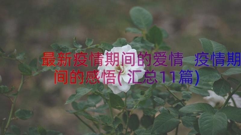 最新疫情期间的爱情 疫情期间的感悟(汇总11篇)