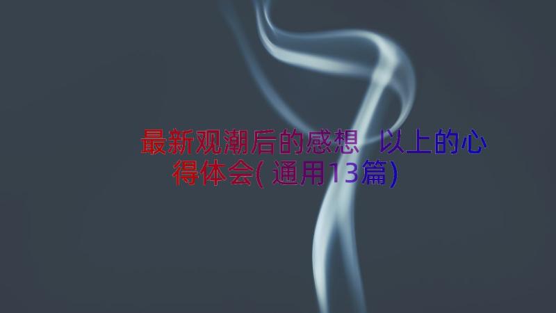 最新观潮后的感想 以上的心得体会(通用13篇)