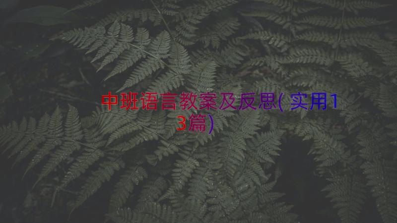 中班语言教案及反思(实用13篇)