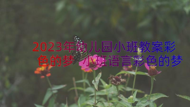 2023年幼儿园小班教案彩色的梦 小班语言彩色的梦教案(优质11篇)