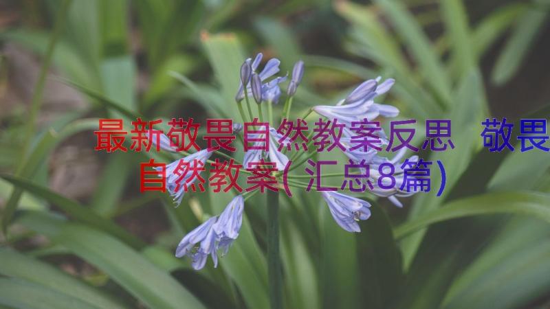 最新敬畏自然教案反思 敬畏自然教案(汇总8篇)