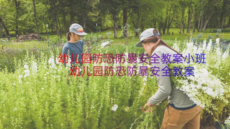 幼儿园防恐防暴安全教案小班 幼儿园防恐防暴安全教案十(大全8篇)