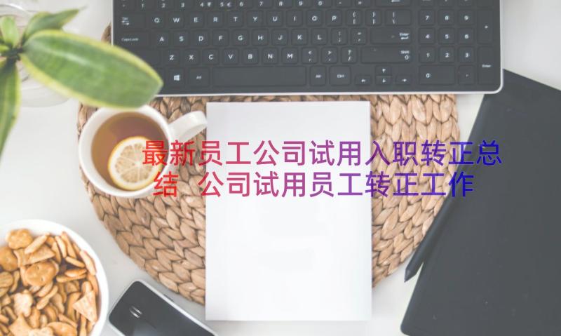 最新员工公司试用入职转正总结 公司试用员工转正工作总结(优秀9篇)