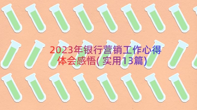 2023年银行营销工作心得体会感悟(实用13篇)