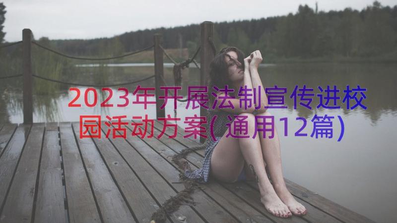 2023年开展法制宣传进校园活动方案(通用12篇)