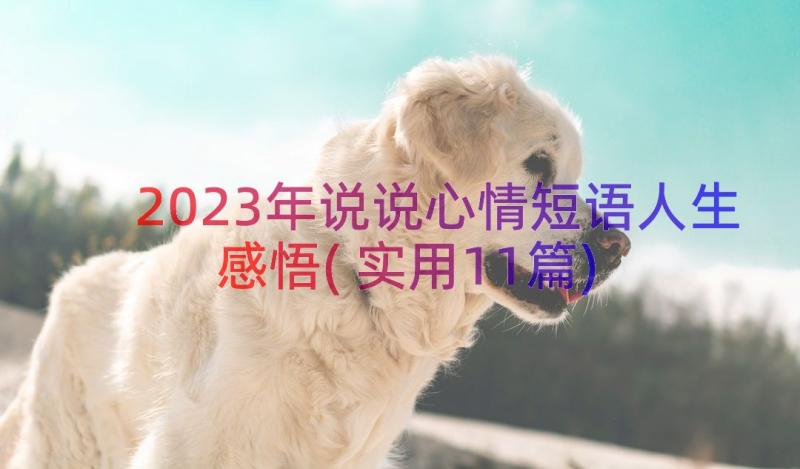 2023年说说心情短语人生感悟(实用11篇)