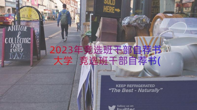 2023年竞选班干部自荐书大学 竞选班干部自荐书(通用8篇)