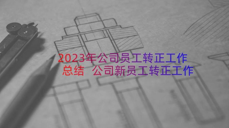 2023年公司员工转正工作总结 公司新员工转正工作总结(精选16篇)