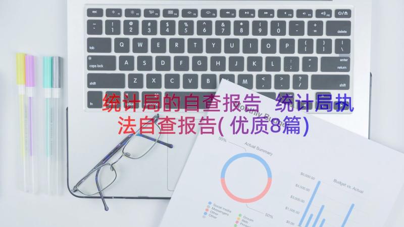 统计局的自查报告 统计局执法自查报告(优质8篇)