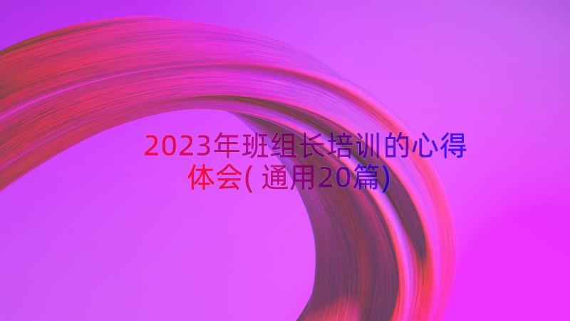 2023年班组长培训的心得体会(通用20篇)