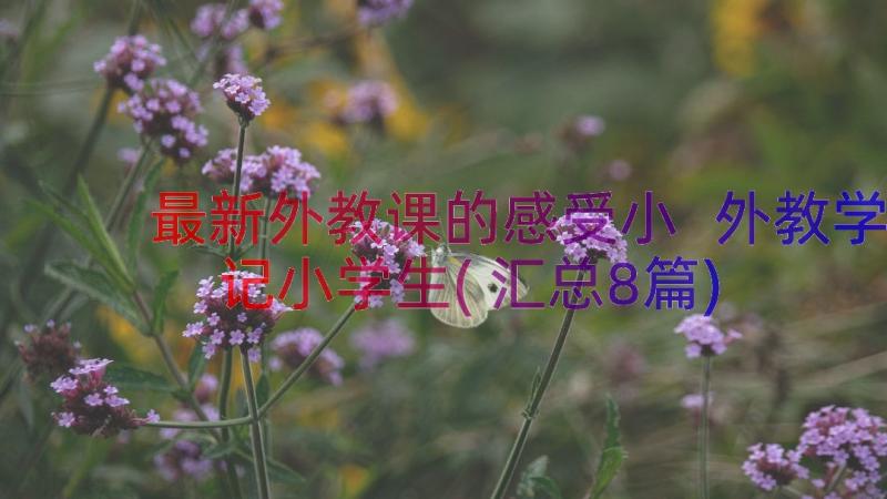 最新外教课的感受小 外教学记小学生(汇总8篇)