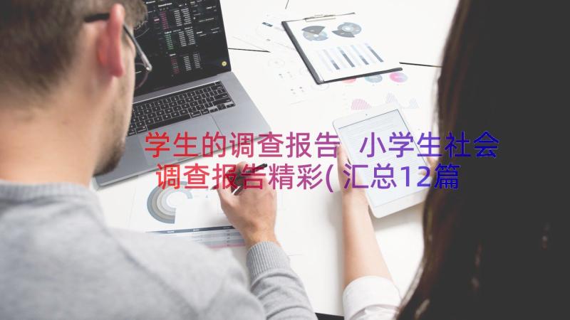 学生的调查报告 小学生社会调查报告精彩(汇总12篇)