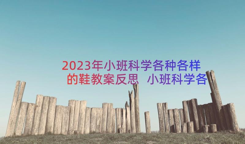 2023年小班科学各种各样的鞋教案反思 小班科学各种各样的鞋教案(通用8篇)